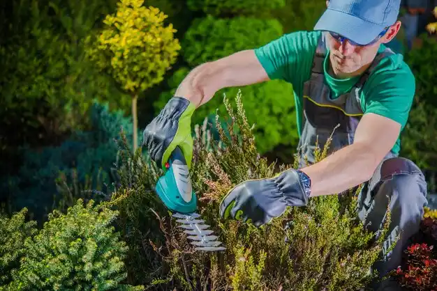 landscaping services Stony Brook University
